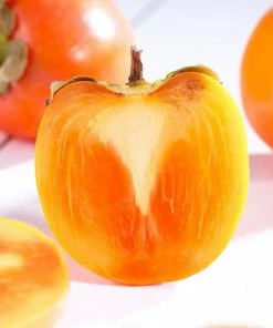 Roots Plants Fruits Japanese Persimmon Tree 8 Roots Plants Fruits Japanese Persimmon Tree