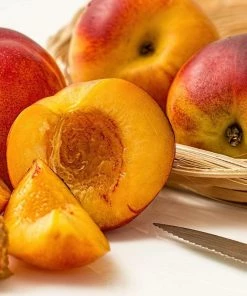 Roots Plants Avalon Pride Peach Tree