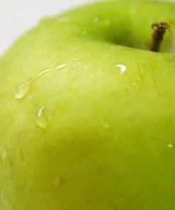 Roots Plants Granny Smith Apple Tree Fruits 7 Roots Plants Granny Smith Apple Tree Fruits