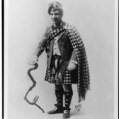 Roots Plants Corkscrew Hazel | Corylus Avellana 'Contorta' 7 Roots Plants Corkscrew Hazel | Corylus Avellana 'Contorta'