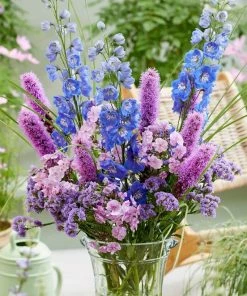 Roots Plants Delphinium 'Magic Fountains Mixed' Perennials