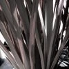 Roots Plants Phormium Platts Black All Shrubs 2 Roots Plants Phormium Platts Black All Shrubs