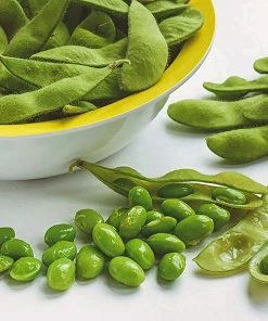 Roots Plants 10 Organic Edamame Bean Plants Peas & Beans 9 Roots Plants 10 Organic Edamame Bean Plants Peas & Beans