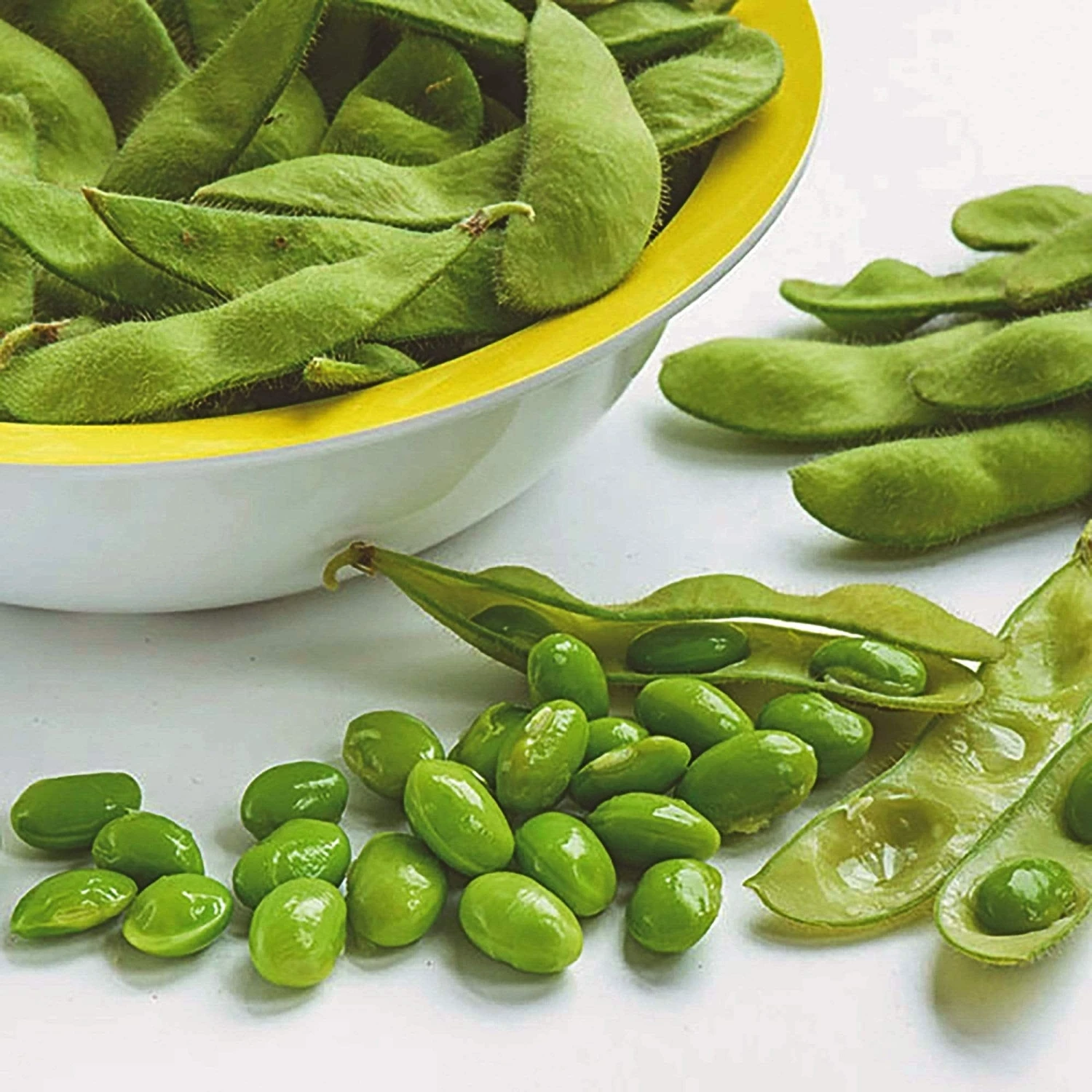 Roots Plants 10 Organic Edamame Bean Plants Peas & Beans 6 Roots Plants 10 Organic Edamame Bean Plants Peas & Beans