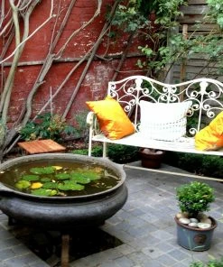 Roots Plants All Pond Plants Pond In A Pot Planting Kit | Oxygenating & Wildlife | Flowers & Structure 19 Roots Plants All Pond Plants Pond In A Pot Planting Kit | Oxygenating & Wildlife | Flowers & Structure