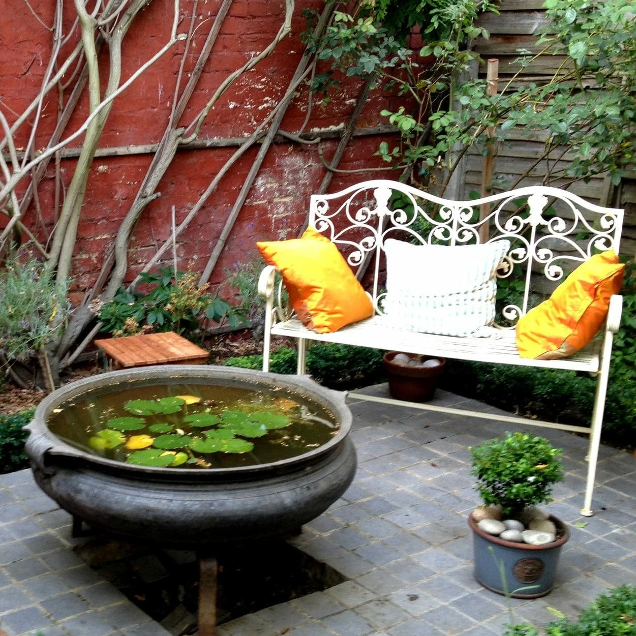 Roots Plants All Pond Plants Pond In A Pot Planting Kit | Oxygenating & Wildlife | Flowers & Structure 5 Roots Plants All Pond Plants Pond In A Pot Planting Kit | Oxygenating & Wildlife | Flowers & Structure