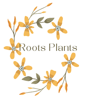 Roots Plants Shop